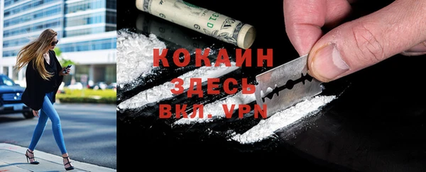 гашик Пересвет
