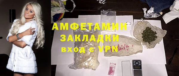 гашик Пересвет