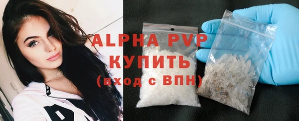 гашик Пересвет