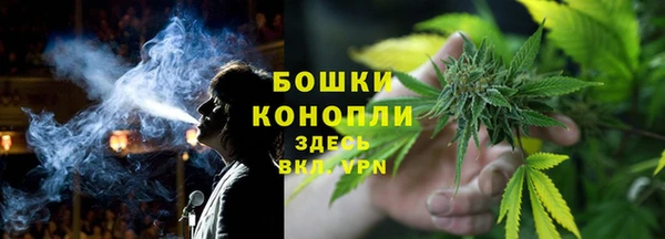 гашик Пересвет