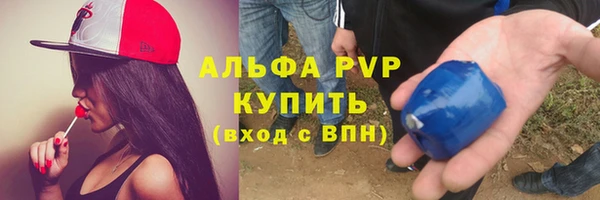 гашик Пересвет
