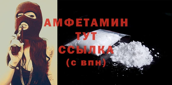гашик Пересвет