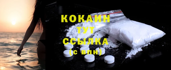 гашик Пересвет