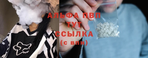 гашик Пересвет