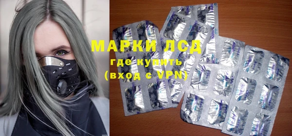 гашик Пересвет