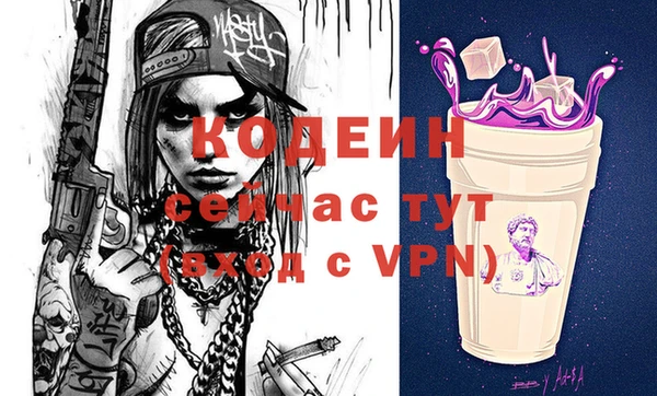шишки Осинники