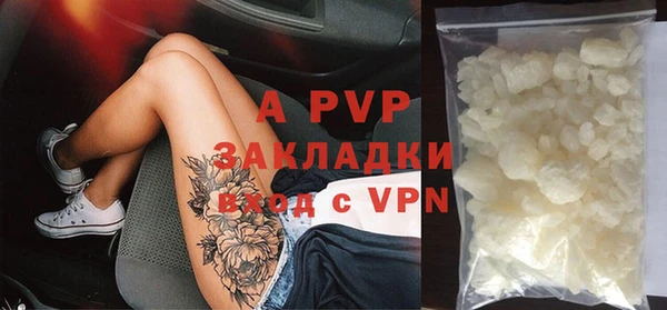 гашик Пересвет